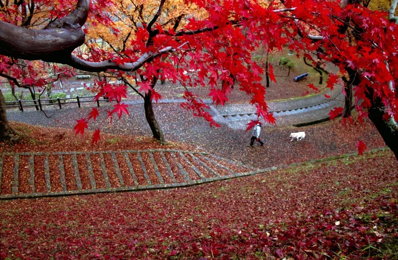 釣山公園