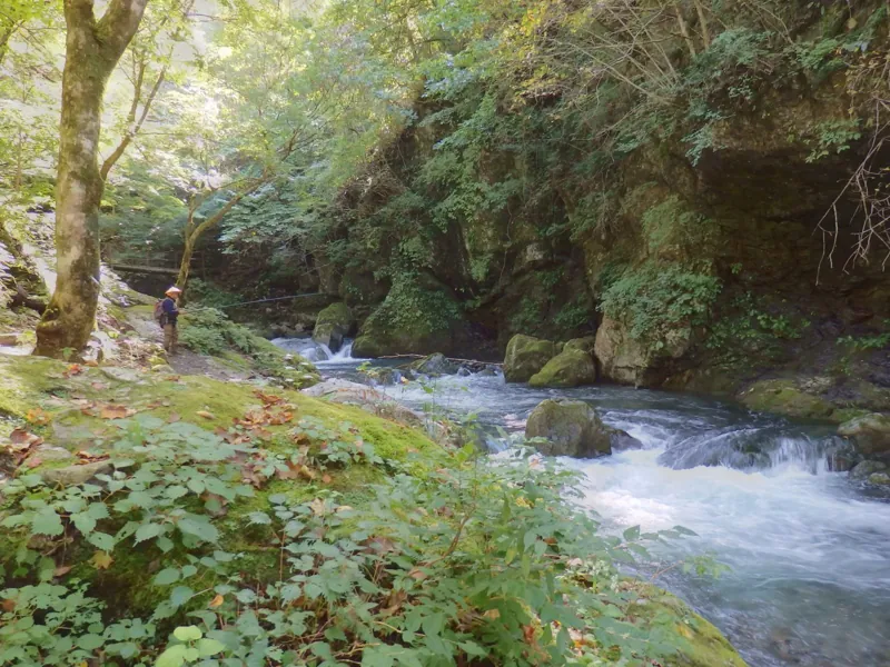 大血川渓流観光釣場