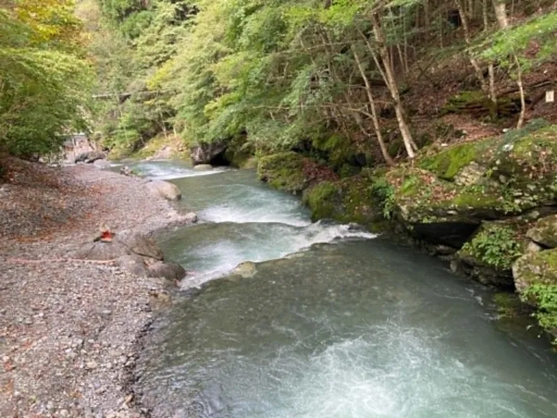 大血川渓流観光釣場 2