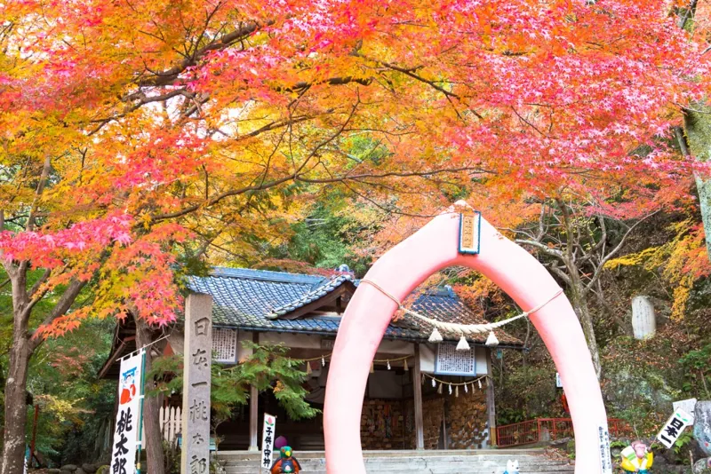 桃太郎公園