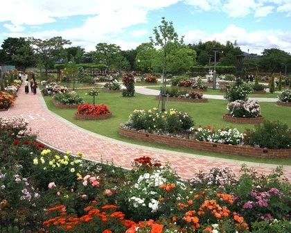ばら公園いこいの広場