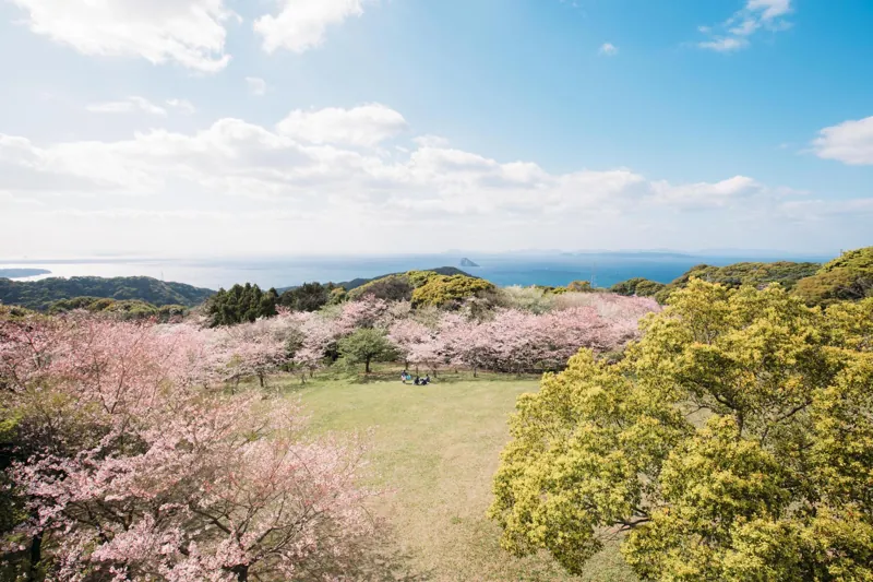 百合岳公園 3
