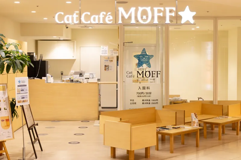Cat Café MOFF 静岡PARCO店