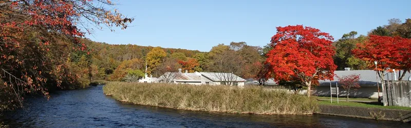 千歳さけますの森さけます情報館 3