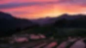 丸山千枚田 2
