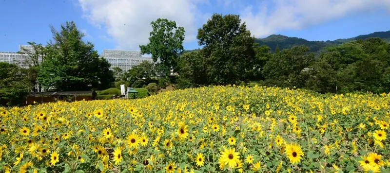 広島市植物公園 2
