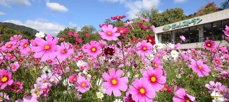 広島市植物公園 3