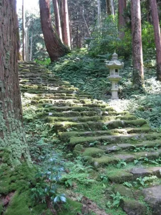 赤蔵山憩いの森