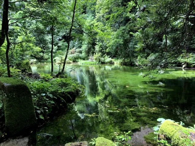 赤蔵山憩いの森 2