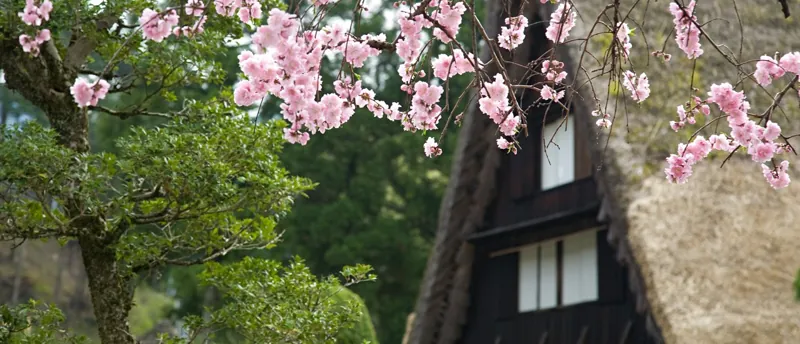 下呂温泉合掌村 2