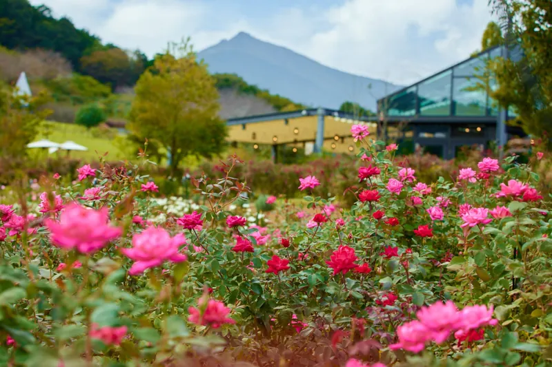 茨城県フラワーパーク