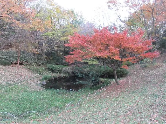 今川公園