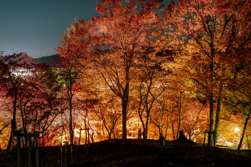 最上山公園 もみじ山