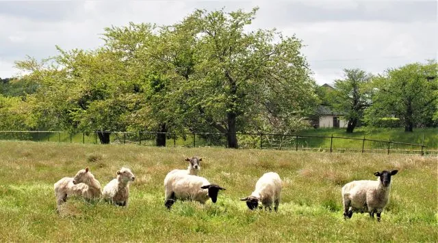 小出沼農村公園