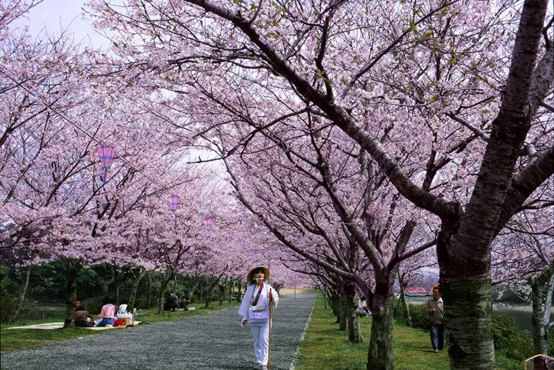 県立亀鶴公園