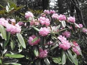 帰全山公園 3