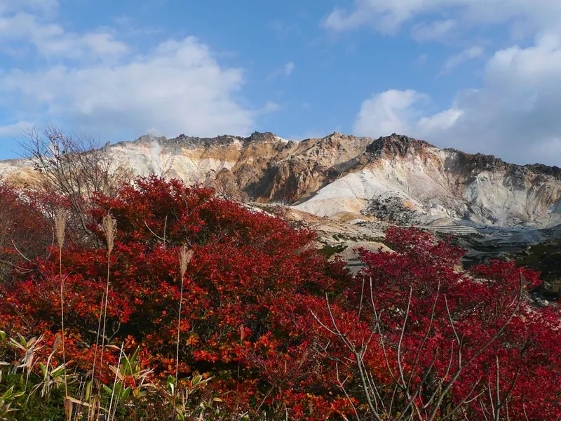恵山