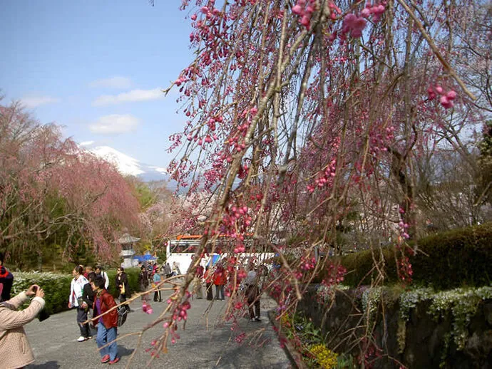 富士仏舎利塔平和公園