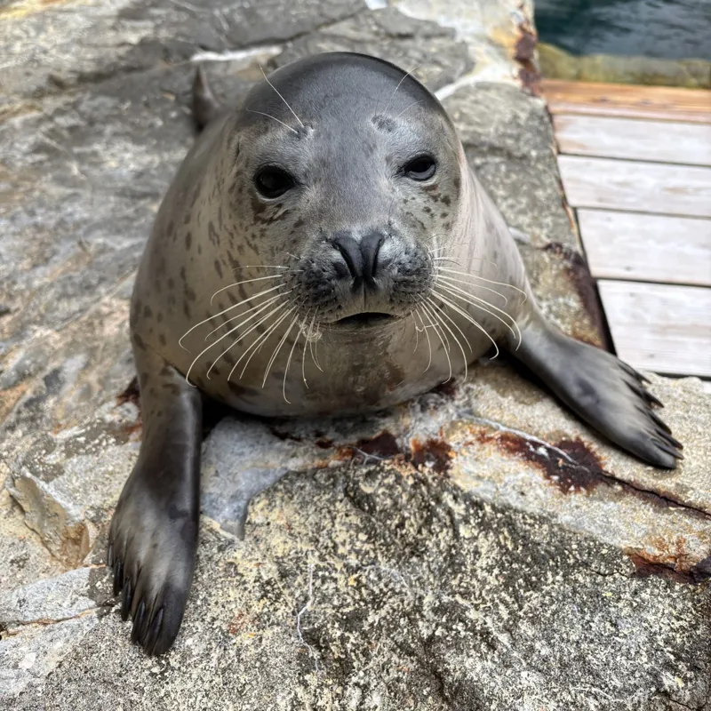 大分マリーンパレス水族館「うみたまご」 2