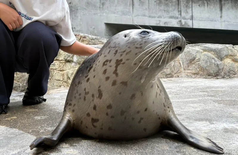 大分マリーンパレス水族館「うみたまご」 3