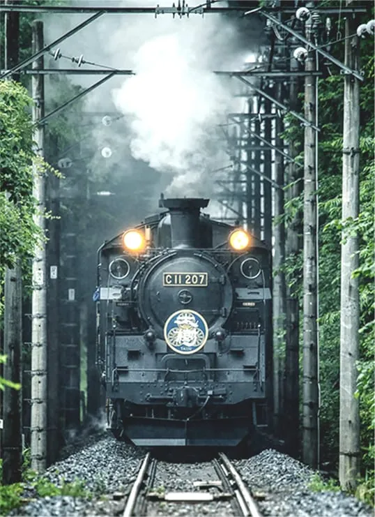 SL大樹 2