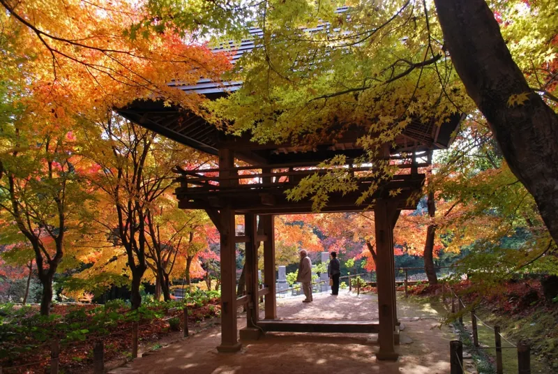 両足寺