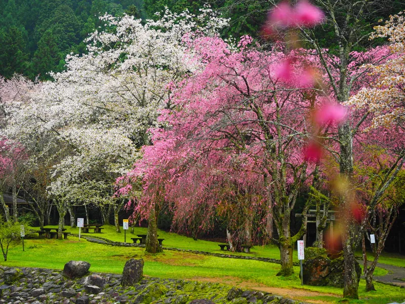 あきつの小野公園