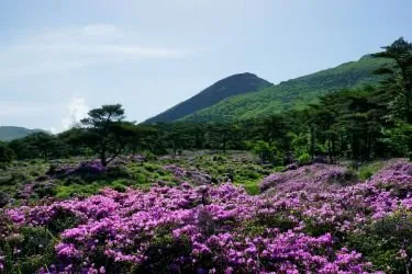 えびの高原 2