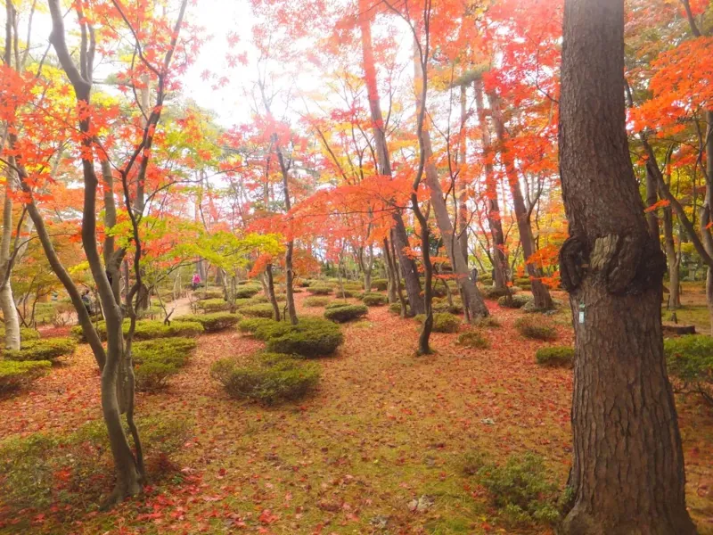 松雲山荘 庭園