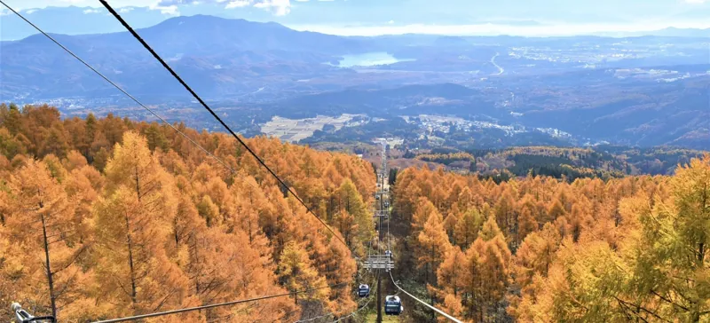 妙高杉ノ原スキー場 2