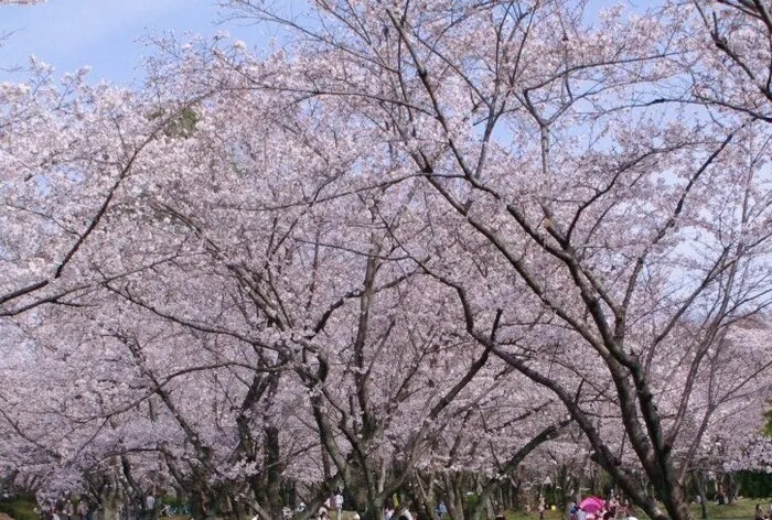 名古屋市平和公園