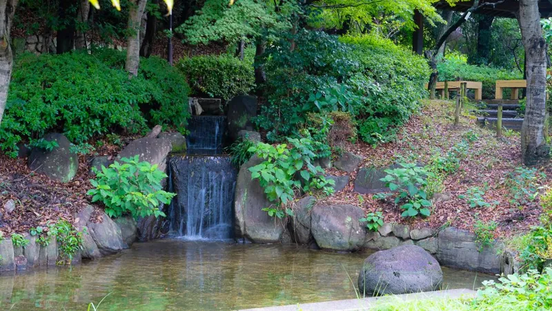 岡本公園（岡本梅林公園）