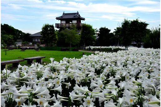 池田城跡公園 2