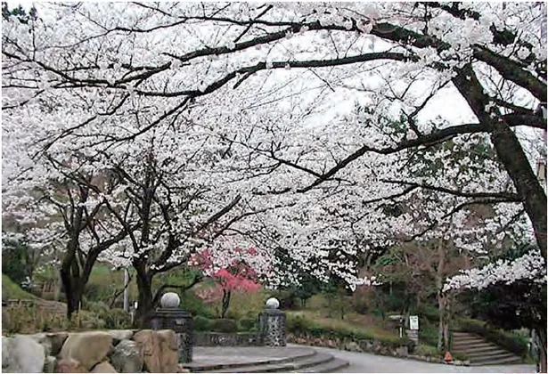 城ヶ山公園