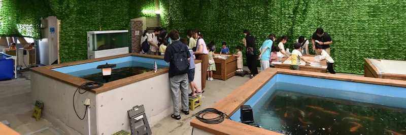 横浜釣り堀王国 2