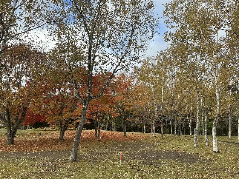 柏木地区レクリエーション施設 キャンプ場