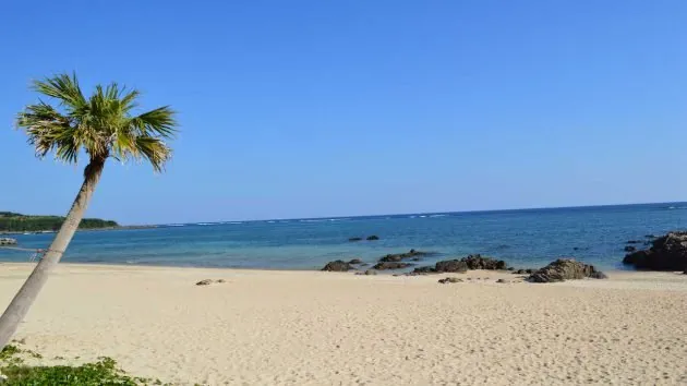 用安海岸 3