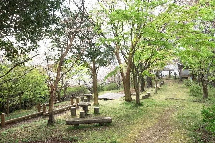 鳥屋城山