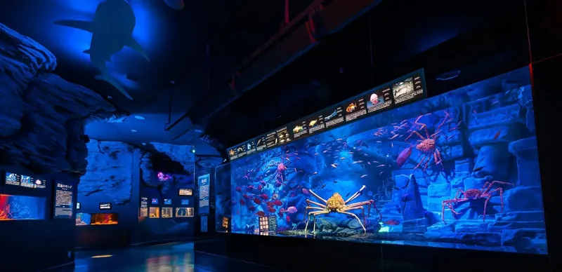 沼津港深海水族館 3