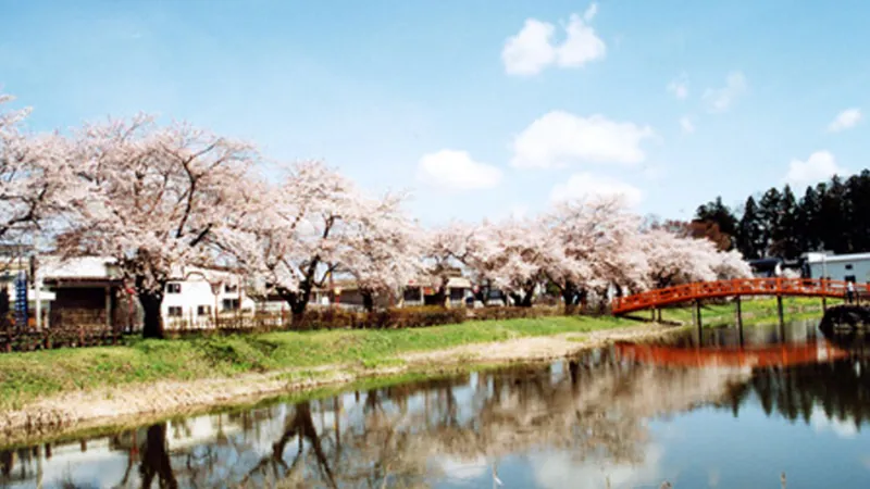 梨木公園