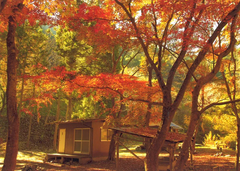 平野田休養村キャンプ場