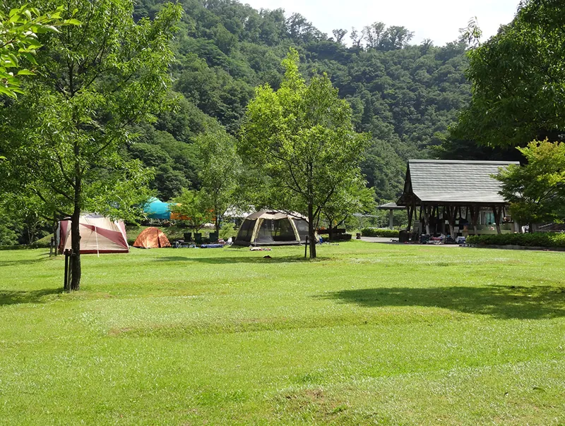 茶ウナCAMP
