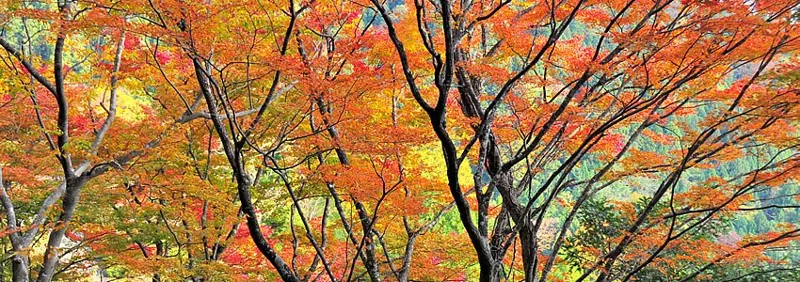 慈眼寺 2