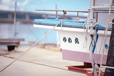古民家食堂 てぃーらぶい 1