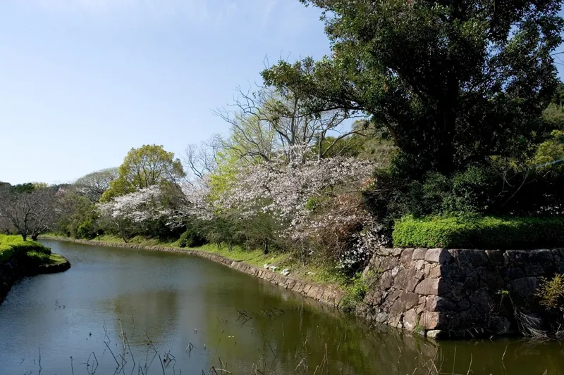 舞鶴公園