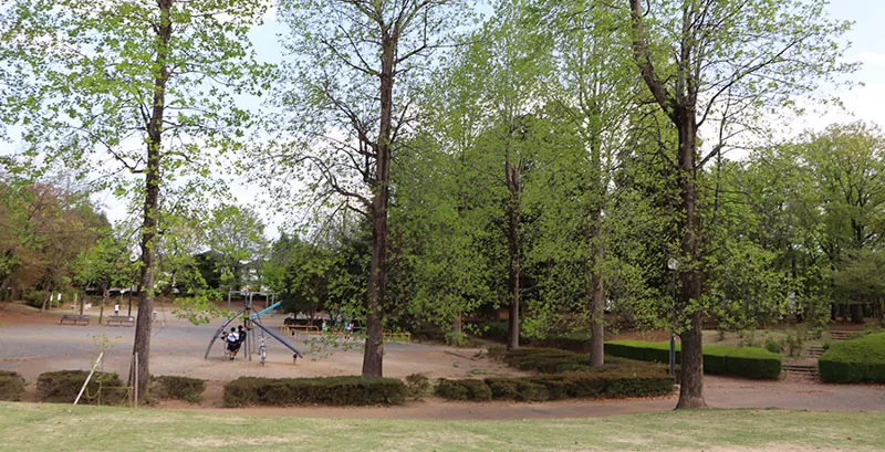 松ケ丘公園