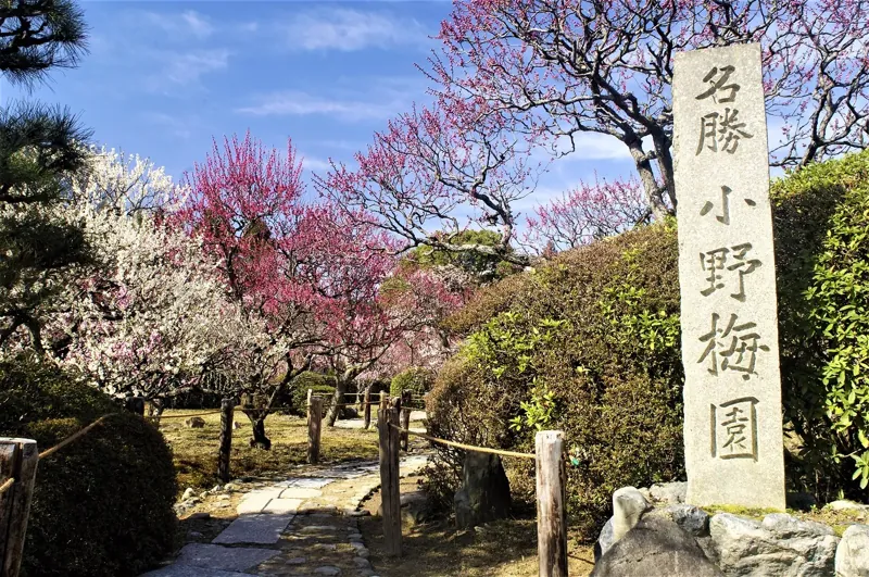 随心院