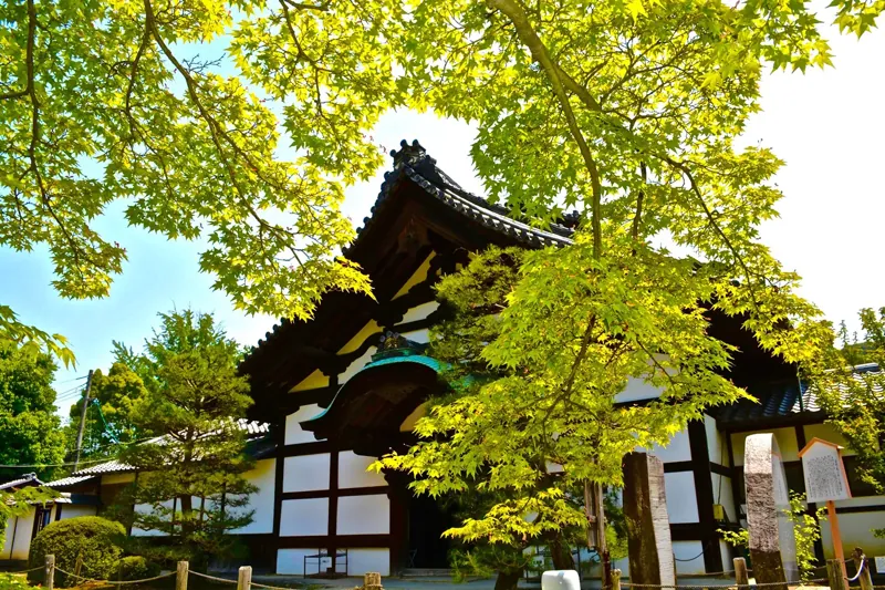 随心院 2