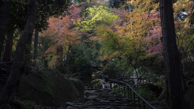 石馬寺 1
