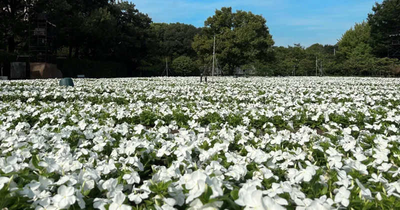 大阪市立長居植物園 2